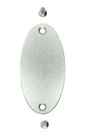 Шильда Овальная 60x30 мм, с 2 отверстиями, нержавеющая сталь  от магазина "Крепёж и метизы"