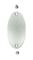 Шильда Овальная 46x26 мм, с 2 отверстиями, нержавеющая сталь  от магазина "Крепёж и метизы"