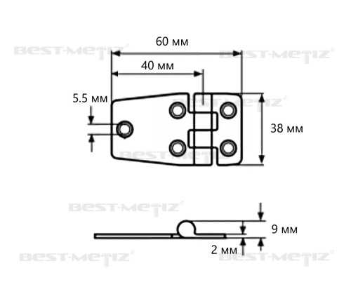 Петля трапециевидная, 38х60мм, нержавеющая сталь  от магазина "Крепёж и метизы" фото 2